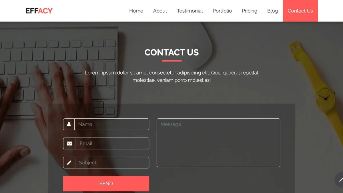 Effacy website preview-2